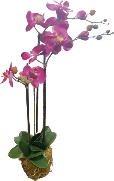 Mica Decorations Kunstplant Phalaenopsis paars 30x18x76cm