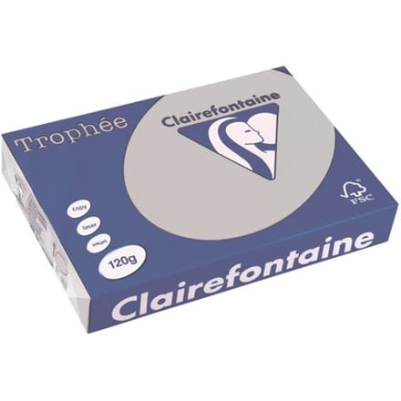 Clairefontaine Lichtgrijs A4 Gekleurd papier 120 grams (250 vel)