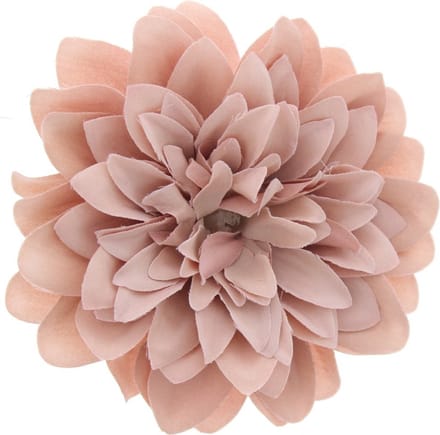 Zac's Alter Ego - Large chrysanthemum Haarbloem - Beige