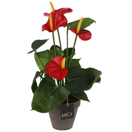 Mica Decorations Anthurium Kunstplant in Bloempot Stan - H38 x Ø30 cm - Rood