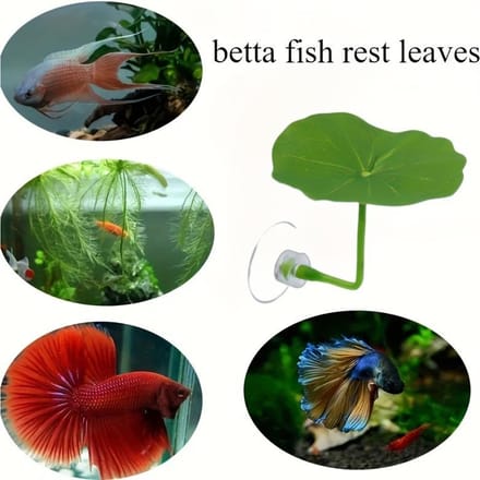 1 pc Hamac Feuille Betta, Lit pour Poisson, Décoration d'Aquarium Feuille Artificielle, Paysage d'Aquarium vert