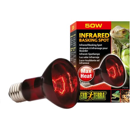 Terrarium lamp Exo Terra Infrared Basking Spot 50W