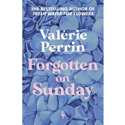 Forgotten On Sunday - Valerie Perrin