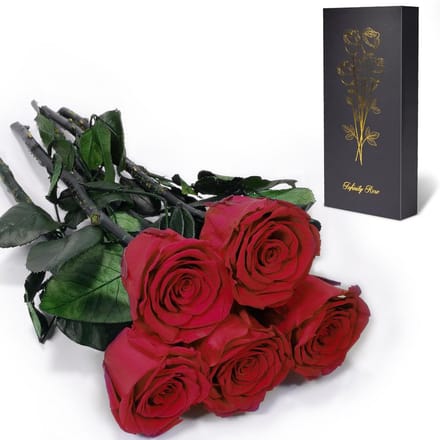 Eeuwige Rozen - Geconserveerde Bloem - Cadeau Geven - Natuurlijk Behoud - 5 Stuks - Rood