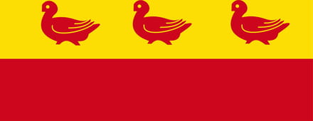 Vlag Sombreffe 100x150cm