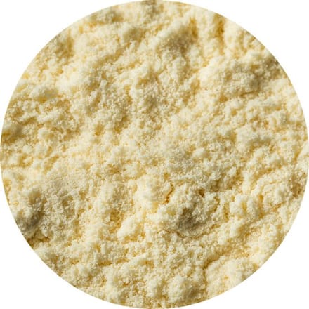 Van Beekum Specerijen - Whey Protein Puur - 20 KG - Zak (bulk verpakking)