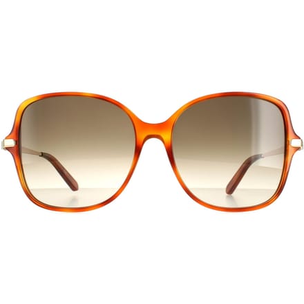 Salvatore Ferragamo zonnebril SF990SR 214 Tortoise grijze gradiënt
