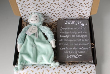 Brievenbus cadeau Aap Mickey - cadeau zwangerschap - kraam cadeau - babyshower