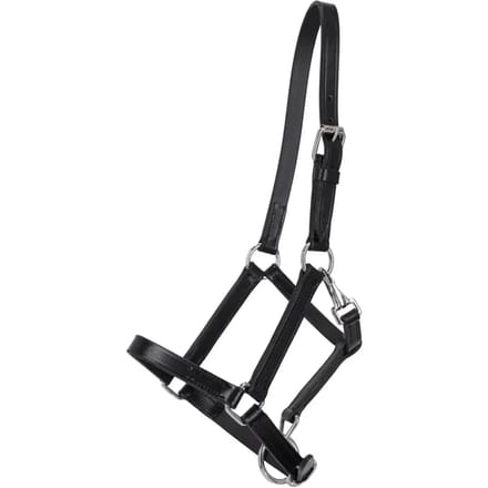 Leren halster voor paarden Q-essentials