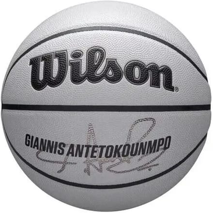 Basketbal Wilson NBA Player Icon UV Giannis