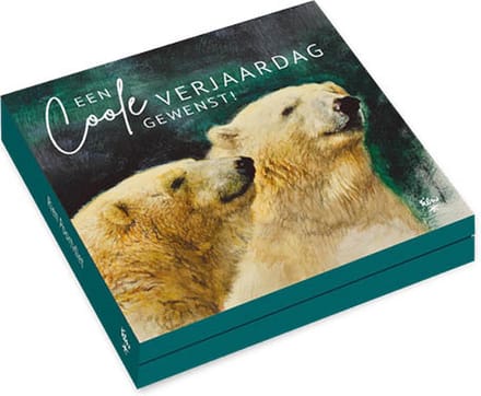 Kaartenmapje Rien Poortvliet Wildlife - IJsberen