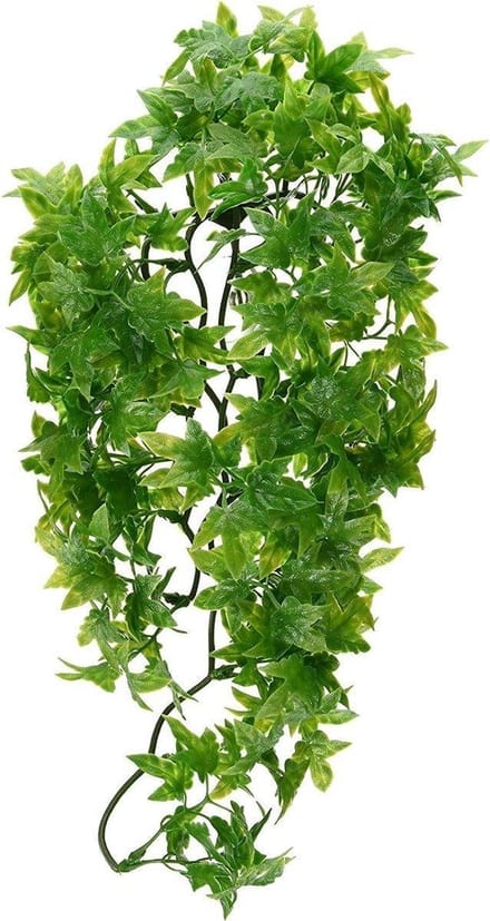 ZooMed - naturalistic flora - congo ivy - small - terrariumplant