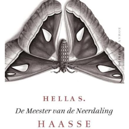 De Meester Van De Neerdaling - Hella S. Haasse