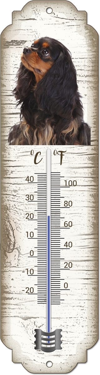 Thermometer: King Charles Black and Tan | Hondenras | Temperatuur binnen en buiten | -25 tot +45C
