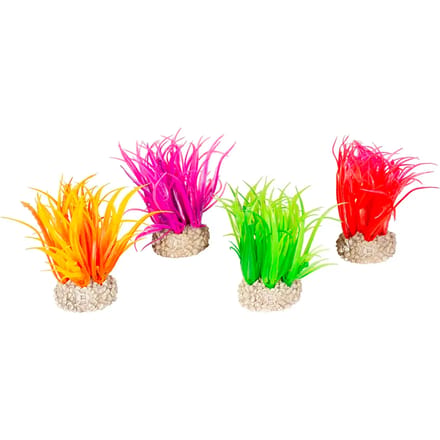 Aquarium planten decoratie Aqua Della Hair Grass