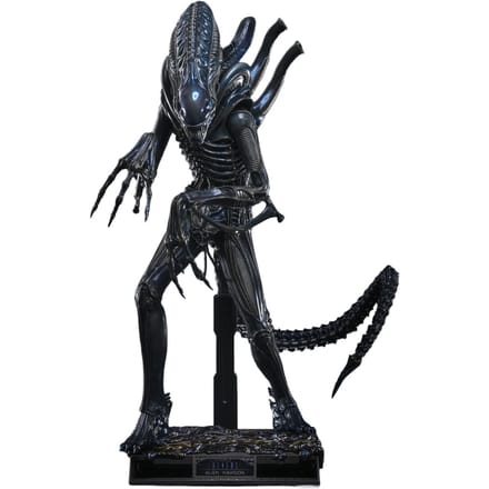 Hot Toys 1/6 Alien Warrior - Aliens