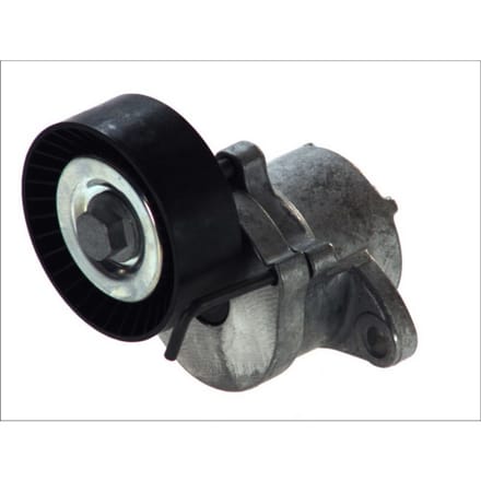 Schaeffler Ina Riemspanner, Poly V-riem INA 534 0439 10