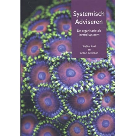Systemisch Adviseren - Siebke Kaat