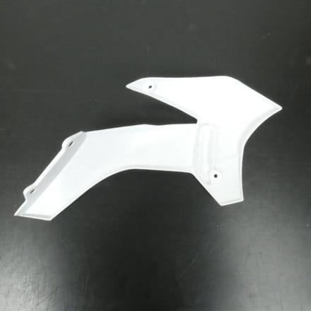 Luchtgeleider links Generiek voor Pitbike CRZ wit 0410600202436 Nieuw