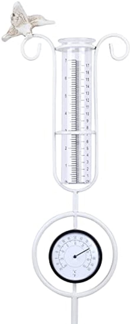Buitenmetingen Regenmeter met Thermometer voor Tuin en Buitengebied