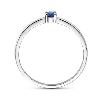 Gerhodineerd Zilver Ring Met Geboortesteen Saffier September 1337050