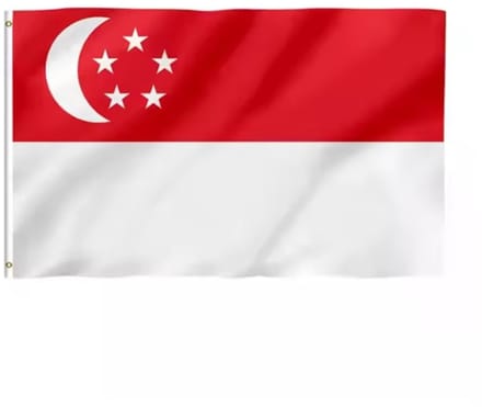 Go Go Gadget - Singaporese vlag - 90x150cm - Singapore