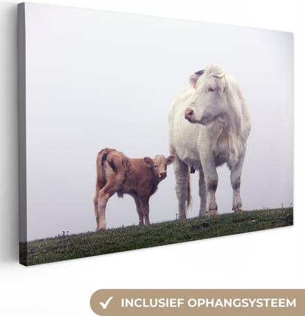 Canvas Schilderij Koeien - Bruin - Wit - Mist - 90x60 cm - Wanddecoratie