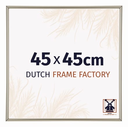 Fotolijst 45x45 cm - Kunststof - Champagne - Angers