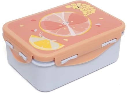 Petit Monkey Lunchbox Flies