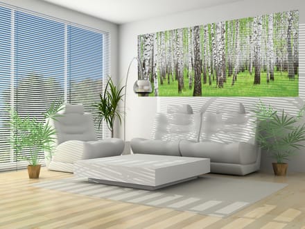 Forest and Woods Photo Wallcovering