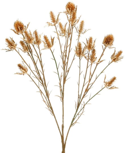 Distel kunsttak Goud L71.5cm