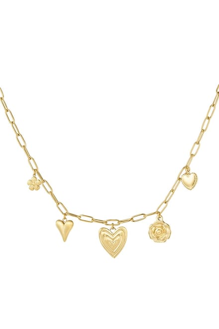 Heartfelt charms ketting - roestvrijstaal - yehwang