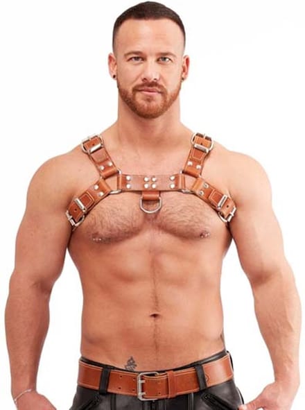 Mister b leren borsttuig zadelleer bruin - large