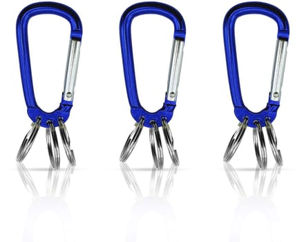 Dailygoods - Karabijnhaak Sleutelhanger Set van 3 - Sleutelorganizer en Sleutelhanger