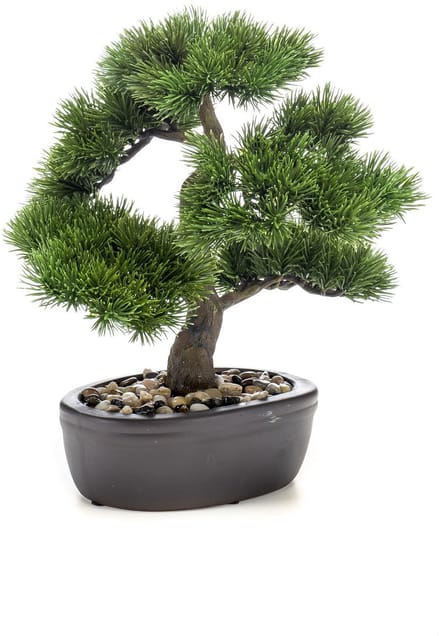 Emerald - Kunstplant Bonsai Pinus 32cm - Kunstplant voor binnen