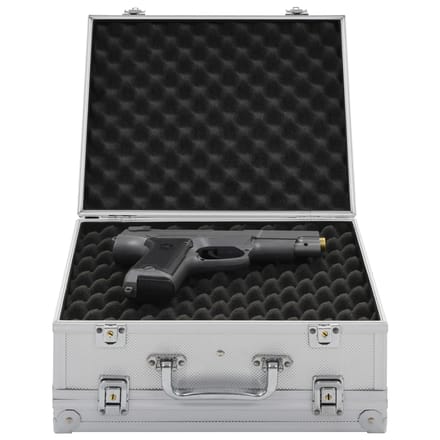 vidaXL Wapenkoffer aluminium ABS zilverkleurig