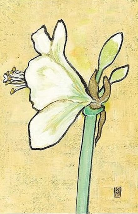 Dubbele kaart met env. Amaryllis 11,5x17,5cm