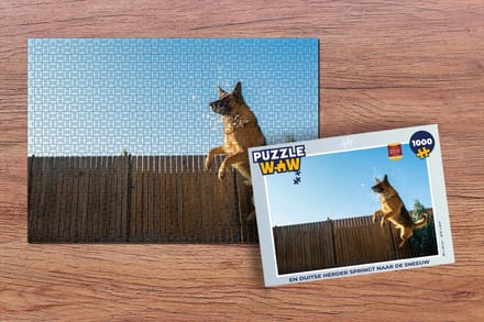 Puzzel En Duitse Herder springt naar de sneeuw - Legpuzzel - Puzzel 1000 stukjes volwassenen