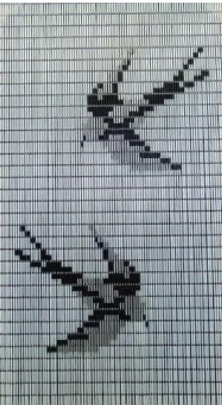 Deurgordijn Havana Swallow 100 cm x 230 cm