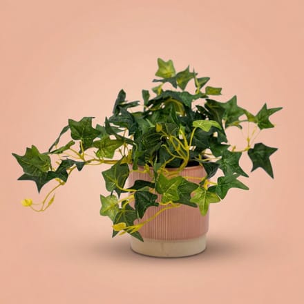 Ivy Hedera - Hangplant in pot - Kunstplant - Groen - ↑ 19 cm