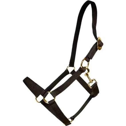 Kentucky Horsewear - Halster nylon marine full