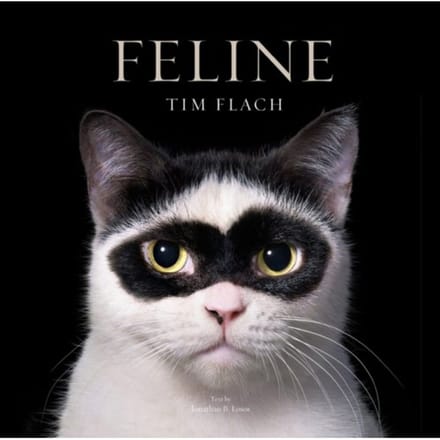 Feline - Tim Flach