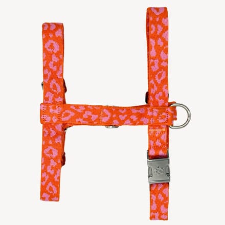 Panter - Oranje/roze - Tuigje / Harnas Hond - L