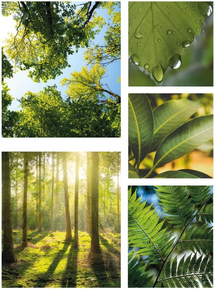 Art for the Home groene Stilte Canvas Set van 5 80x60 cm