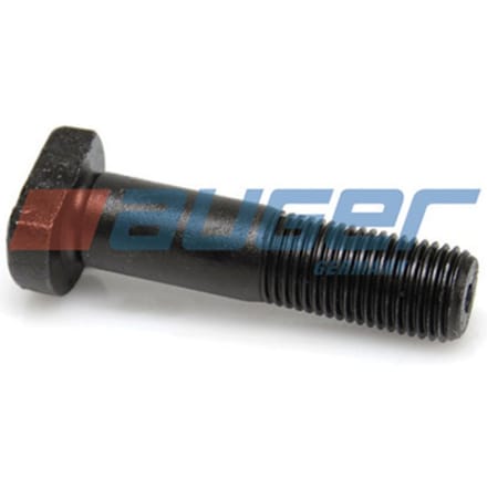 Wielbout AUGER 65187