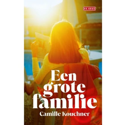 Een Grote Familie - Camille Kouchner