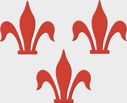 Vlag Rotselaar 100x150cm