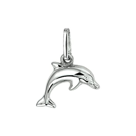 Glanzende Dolfijn Hanger van Gerhodineerd Zilver