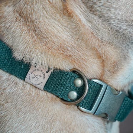 Cooper & Quint Simply Hemp Halsband - Bosgroen - Large - Oud Messing