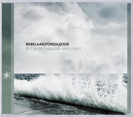 Between Shadow And Light - Patrick Bebelaar
